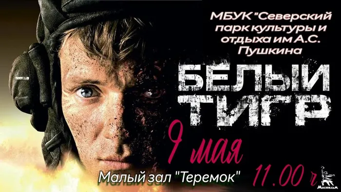 photostudio_1777920884658 (1) — копия